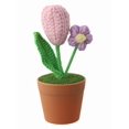 thumbnail image 2 of Bgsha Hand-Woven Wool Crochet Flowers Pot: Timeless, Low-Maintenance Floral Decor!, 2 of 10