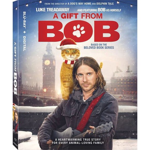 A Gift From Bob