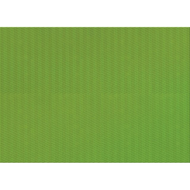 Ahgly Company Machine Washable Indoor Rectangle Transitional Dark Lime Green Area Rugs, 2' x 4'
