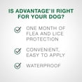 thumbnail image 2 of Advantage II Flea Treatment for Small Dogs (4 doses), 2 of 6