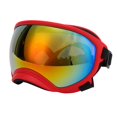 thumbnail image 3 of Large Dog Goggles, Sturdy Buckle Durable PC Dog Goggles Windproof Ultraviolet Proof  For Outdoor Black Frame And Gray Goggles,Red Frame And Red Goggles,Red Frame And Transparent, 3 of 8