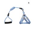 thumbnail image 3 of mmirethe Harnais pour Animaux de Compagnie Laisse Ensemble Accessoire Universel Sangle Poitrine Fixation Cordes Extérieure Réglable Corde de Traction Animal Fournitures S Bleu S, 3 of 6