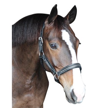 Henri de Rivel Padded Crystal Halter - Black - Cob