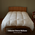 thumbnail image 5 of Abbracc Goose down comforter, all-season, 5 of 5