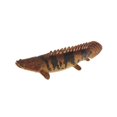 thumbnail image 1 of kurtrusly Realistic Static Ocean Animal Model Toy Kids Gift Spotted Dinosaur Fish, 1 of 9