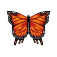 thumbnail image 1 of Cerf-volant en poly X Kites Butterfly de 28 pouces - Amber, 1 of 1