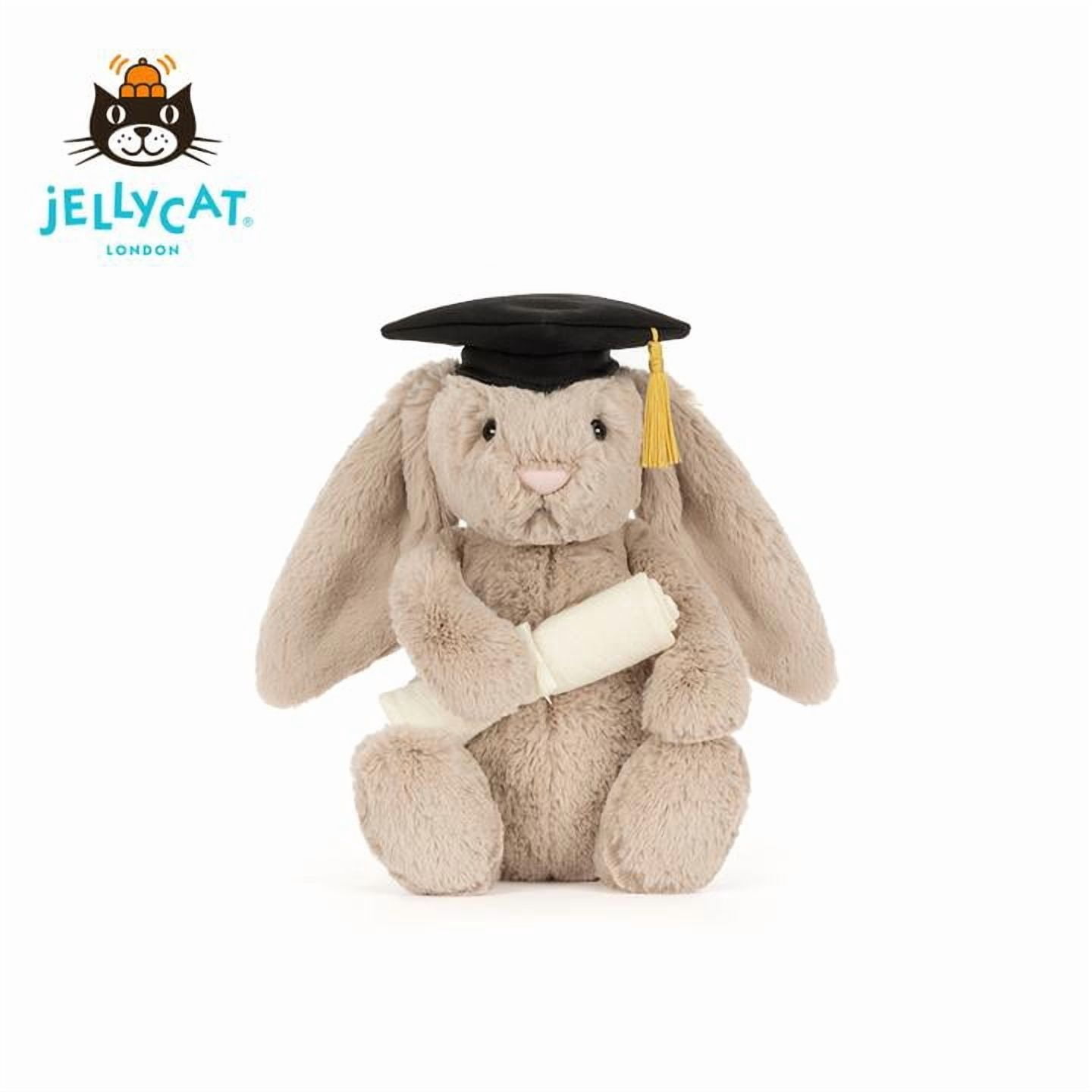 Bunny Graduation Outfit Plush Toy, 12.2 Inch