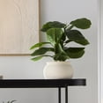 thumbnail image 2 of Anko Artificial Fiddle Plant in Pot, 2 of 5