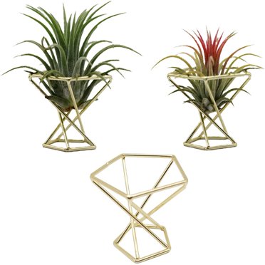 Geometric Air Plant Holder (Gold 3pcs) - Metal Tillandsia Pot Shelves