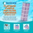 thumbnail image 2 of Hurricane Filtres HF8412-01P Platinum Cartouche de Filtre de Spa Violette de Remplacement, 2 of 7