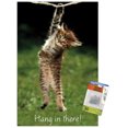 thumbnail image 1 of Célèbre chaton accroché là-bas Poster, 1 of 5