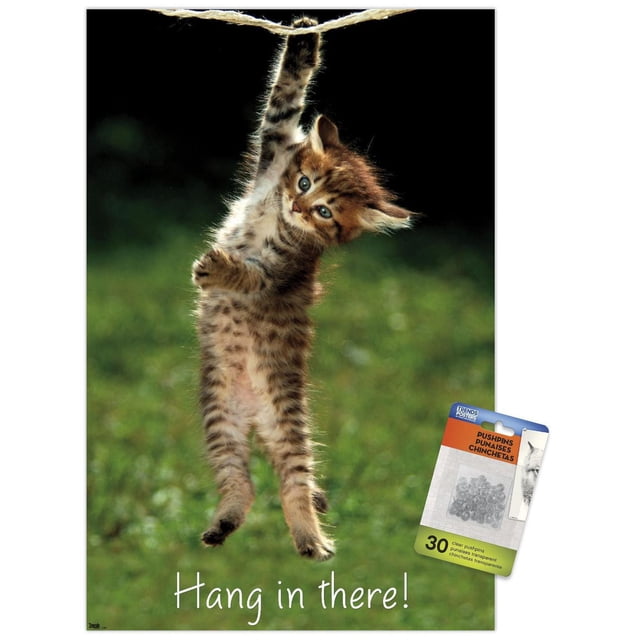 Famous Kitten Affiche Murale « Hang In There », 22,375 Po x 34 Po, Montrant un Chaton Brun « tabby » Suspendu d'Une Patte à une Corde, Vue Centrée Orientée vers l'Avant sur Fond Vert Flouté avec Texte « Hang In There! » Blanc au Bas, Imprimée sur Papier Lustré et Inclut des Punaises Adhésives Transparentes pour un Montage Sans Dommages.