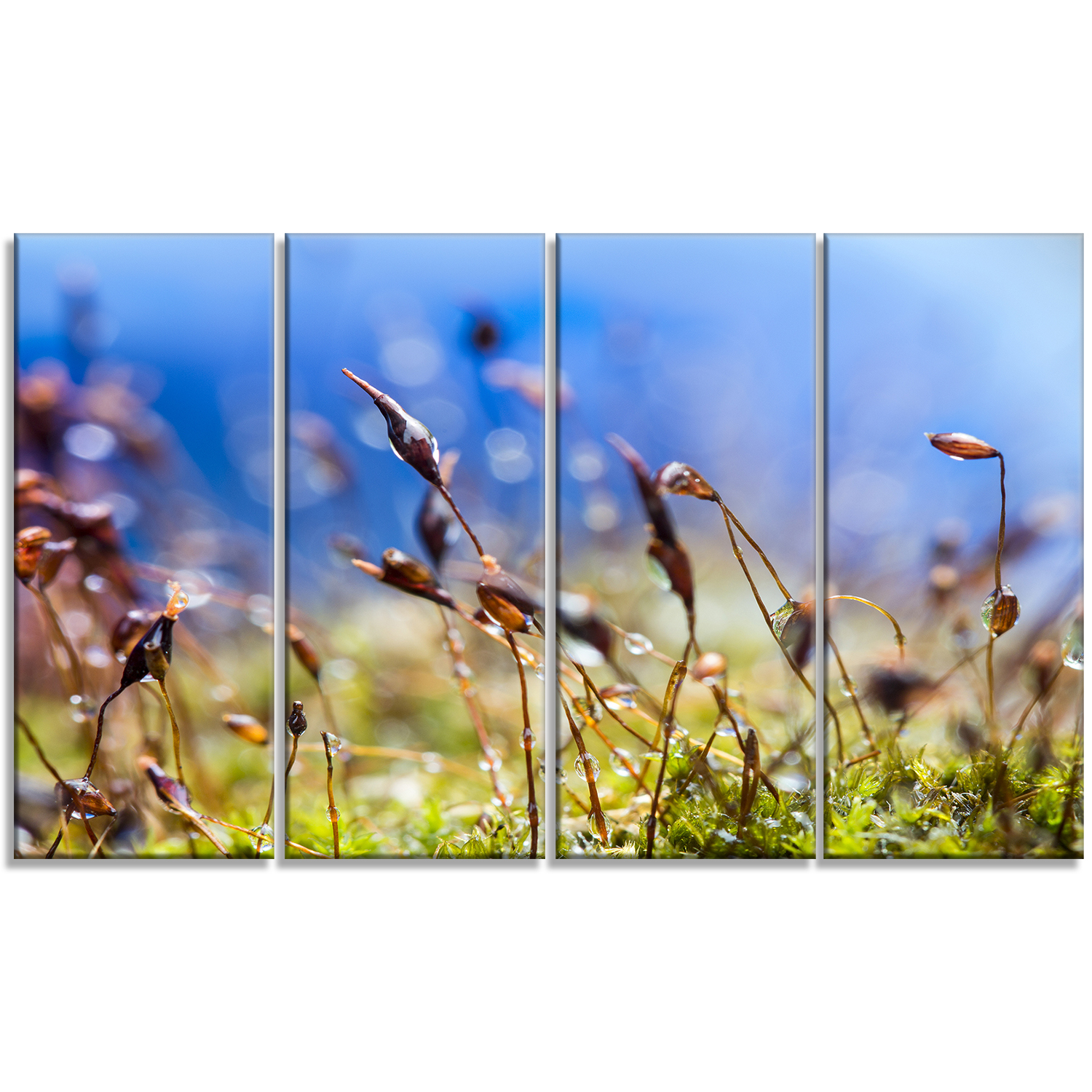 Design Art  Summer Spring Moss Flowers Canvas Print