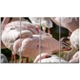 thumbnail image 2 of Pat of Flamingos Close Up - Abstract Canvas Art Print, 2 of 3