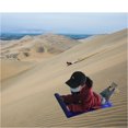 thumbnail image 3 of Shisuyan Summer Winter Sandboard Plastic Boards Sand Blanket Sand Slidding Board Outdoor Toy, 3 of 8