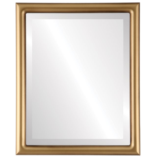 Pasadena Framed Mirror - Desert Gold