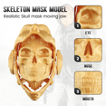 thumbnail image 4 of Unique 3D Printing Deformation Skull Model Tabletop Ornaments 3D Printed Skeleton Decoration Stress Relief Toy C, 4 of 7