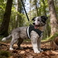 thumbnail image 3 of ERK 1Pcs Cat Harness And Leash For Walking Adjustable Vest With Reflective Strap For Puppy, 3 of 5