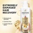 thumbnail image 2 of Pantene Pro-V Miracles Extreme Damage Care Regenerative Oil Blend Sulfate Free Shampoo, 2 of 8