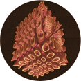 thumbnail image 1 of Ahgly Company Tapis d'Intérieur Lavables en Machine, Ronds, Transitionnels, Marron Acajou, Ronds de 4', 1 of 7