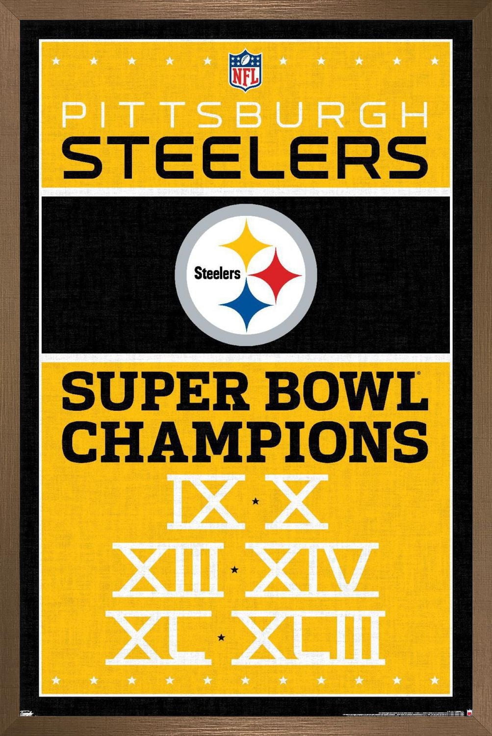 NFL Pittsburgh Steelers - Champions 13