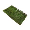 thumbnail image 2 of Milaget Grass Tufts Model DIY Simulation Grass Cluster DIY Scenery Landscape Railway L L, 2 of 9