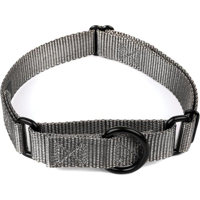 Country Brook Petz Martingale Dog Collar - Heavy-Duty Training Collar with No Buckle - Service Dog Collar for All Pups - Vibrant, Colorful Collection (Charcoal, 3/4 Inch, Small)