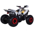 thumbnail image 3 of Tao Motor The Rex VTT Automatique 125 Cc (Assemblage Requis), Blanc, 3 of 3