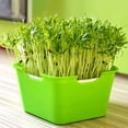 thumbnail image 4 of Garden Planter Box,Seed Sprout Tray Growing Planter Sprout Box Permanent Hydroponics Seed Germinati,Vegetable Planter Box, 4 of 4