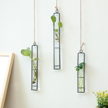 Vaidha Clear Glass Test Tube Flower Vases Wall Hanging Plant Terrarium Container