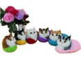 thumbnail image 1 of Jouet pour Chat Qui Dort Petit Chat Animal en Peluche Jouet en Peluche Chaton (Chat de Couleur Aléatoire) Rouge Rose, 1 of 6