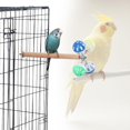 thumbnail image 3 of Halinfer Bird Stand Perch Toy with Rotating Balls, Small Bird Toy for Parakeet, Parrots, Cockatiels, Budgies, Budgerigars, Parrotlets, Lovebirds, Ringnecks, Conures, 3 of 7