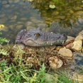 thumbnail image 4 of GROWTH TANK Fausse Tête de Crocodile Flottante Jouet de Farce Canards Dissuasifs Statues d'Extérieur Alli, 4 of 8