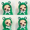 thumbnail image 2 of Fruit Turned Into Dogs, Cats, Dogs, Autumn And Winter Sweaters, Fleece Clothes, 2 of 9
