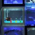 thumbnail image 3 of Mini Kit d'Aquarium Design Casse-Tête Mignon Boîte d'Élevage de Poissons Mini Aquarium avec Lumière, 3 of 10