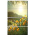 thumbnail image 2 of Yellow Flowers in Meadow At Morning - Floral Canvas Art Print, 2 of 3