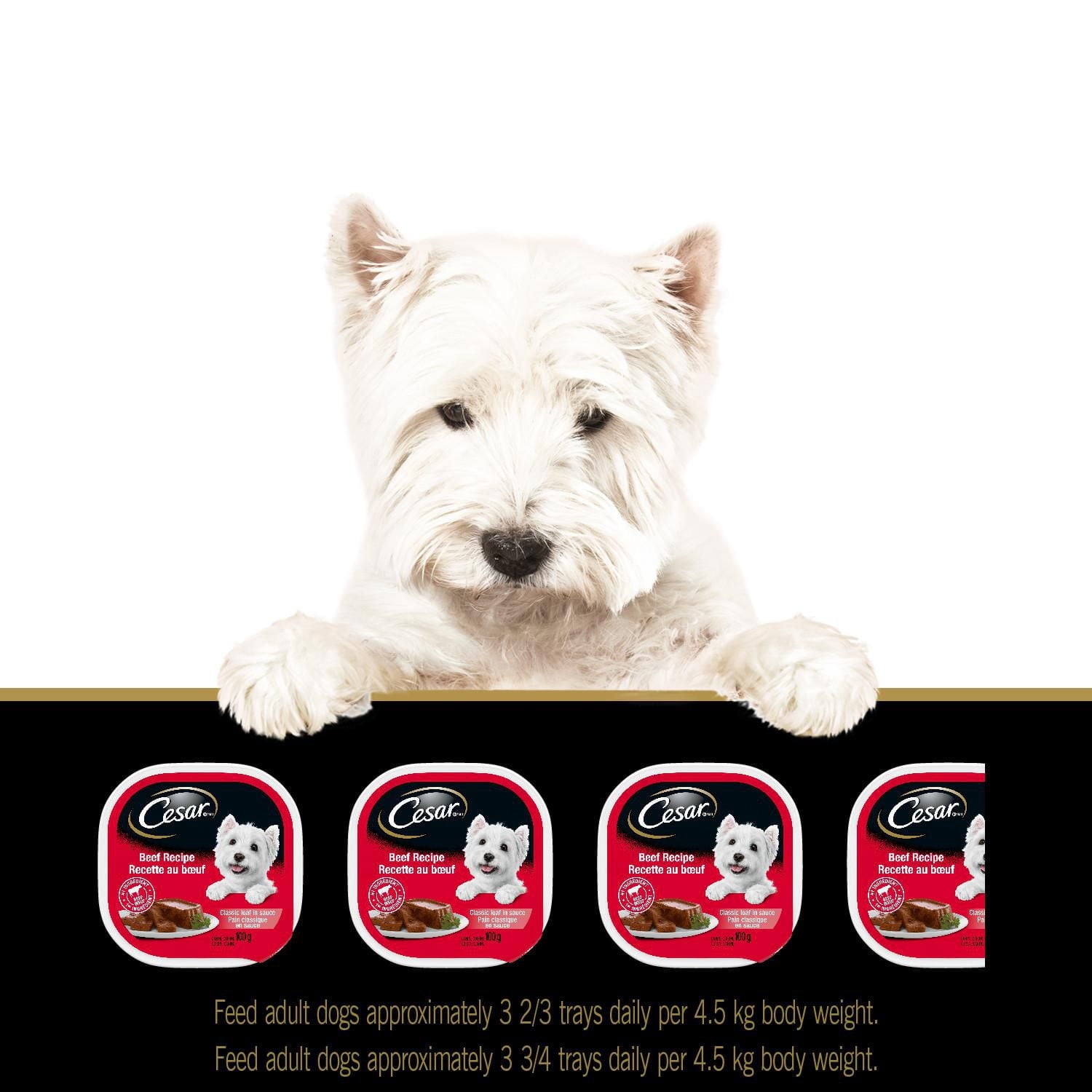 Cesar Adult Classic Loaf in Sauce Filet Mignon Flavour, Chicken & Liver Recipe Variety Pack Soft Wet Dog Food 1.2kg
