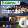 thumbnail image 3 of WiFi Circuit Breaker Switch - Smart WiFi DIN Rail Energy Meter Relay Type Circuit Breaker Connected Switch with Wattmeter Smart Life Tuya WiFi Remote Switch, 25A, 3 of 5