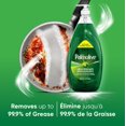 thumbnail image 2 of Palmolive Strength Dish Soap 828mL, 2 of 9