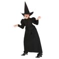 thumbnail image 1 of Déguisement de Sorcière d'Oz Wicked Witch pour Fille, 1 of 6