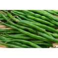 thumbnail image 3 of HIGHGW 100+ Kentucky Wonder Bush Bean Seeds for Planting, All Heirloom Seeds, 3 of 3
