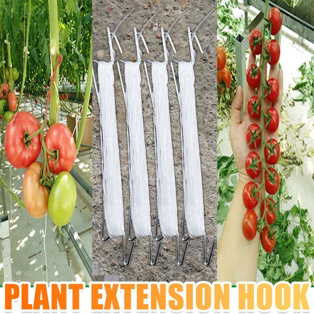 Dvkptbk Home Tool Tomato Hook Tomato Support Clips Vegetable Support Tomatoe from Pinching Tools on Clearance