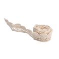 thumbnail image 1 of LHCER Lace Ribbon DIY Cotton Net 2cm Width 20 Yards Elegant Fabric Lace Trim for Curtain Clothes Tablecloth Gift Package,Craft Lace Ribbon,Lace Trim, 1 of 8