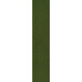 thumbnail image 3 of Planet Waves PWS107 Polypropylene Guitar Strap - Green, 3 of 3