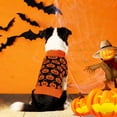 thumbnail image 4 of TIELUTT Sweaters Halloween Pumpkin Sweater for Small Medium Large Pet Clothes for Small Dogs Girls Dress Pet Clothes Pet Clothes for Cats Pet Clothes Rack Pet Clothes for Medium Dogs Easter, 4 of 6