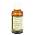 thumbnail image 2 of Cypress Essential Oil Cyperus Seariosus Cypress Oil For Massage For Body For Skin For Massage Pure Natural Steam Distilled Therapeutic Grade 5ml 0.169oz By R V Essential, 2 of 2