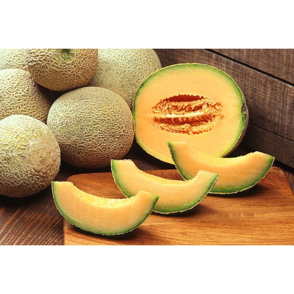 200 HALE'S Best JUMBO CANTALOUPE Orange Muskmelon Cucumis Melo Melon Fruit Seeds