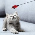 thumbnail image 4 of Pet Teaser Plastic Long Handle Teasing Rod Stick Stick Interactive Pet Feather Bell Interactive Pet Toy, Black, 4 of 6