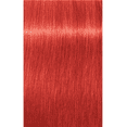 thumbnail image 2 of Schwarzkopf Igora Royal Concentré Rouge 0-88, 60 g, 2 of 2