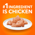thumbnail image 4 of Iams Santé Proactive Aîné en Santé au Poulet Nourriture Sèche pour Chat 1.6kg, 4 of 15